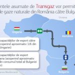 Comisia acceptă angajamentele propuse de Transgaz în vederea facilitării exporturilor de gaze naturale din România